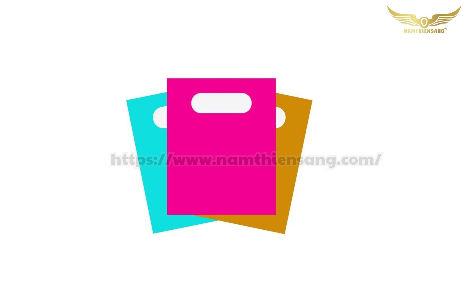 Đặc điểm của túi hột xoài